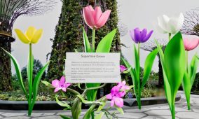 Singapore Tourism Board brings location-based AR experiences to Google Maps